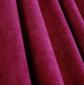 Reiner fuchsia29